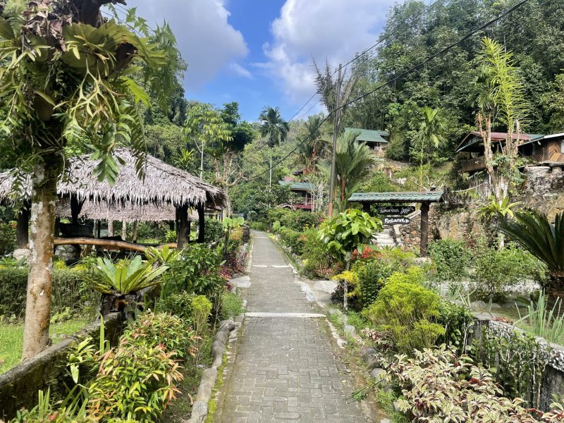 bukit-lawang-sumatra-22