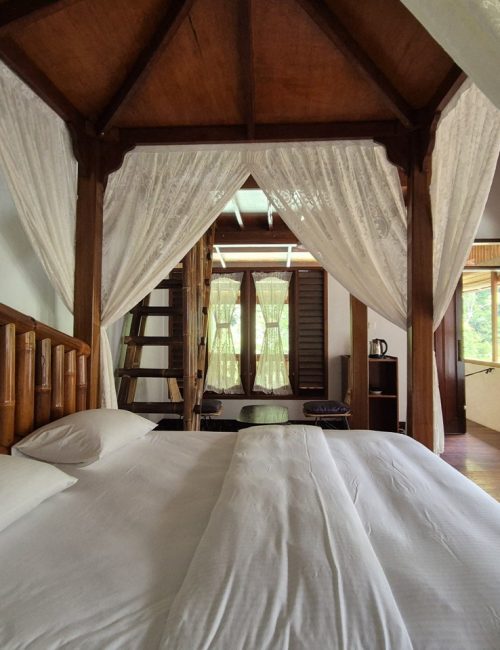 bukit-lawang-unterkunft