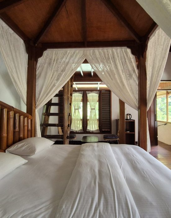 bukit-lawang-unterkunft