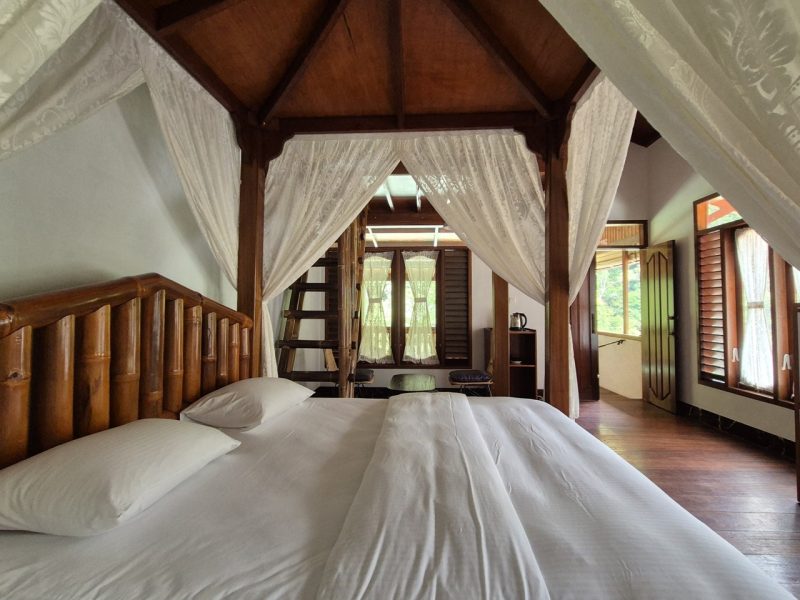 bukit-lawang-unterkunft